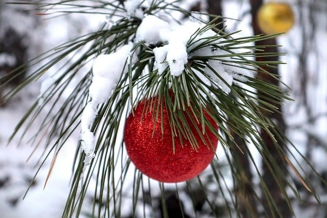 Christmas Light Shows in Union City, GA
