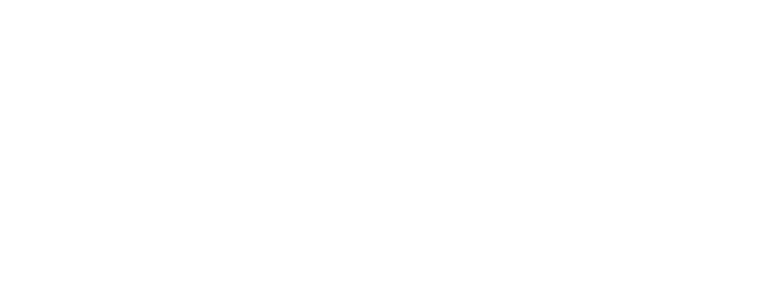 Bill Currie Ford Logo