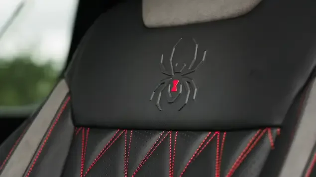 Black Widow Interior