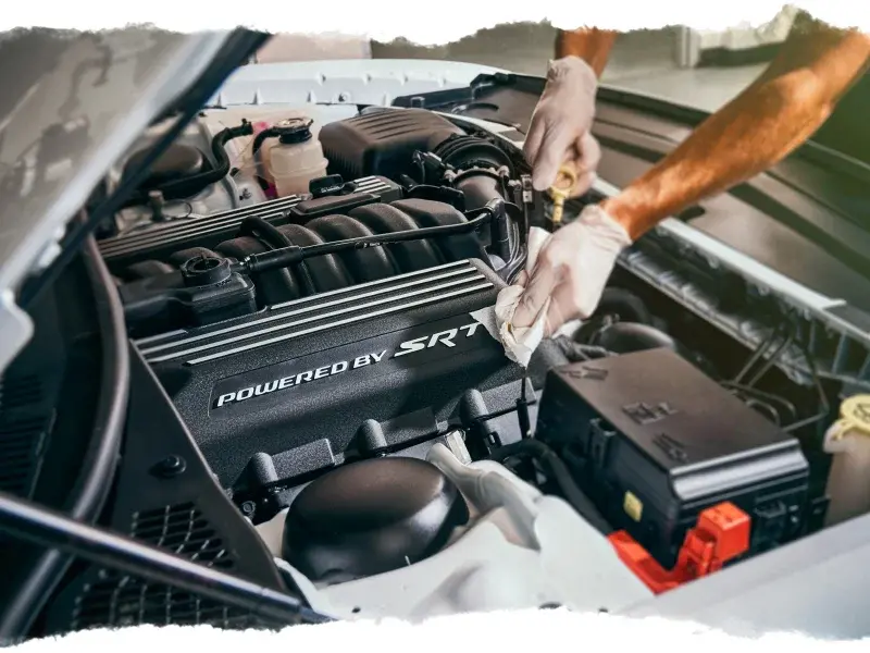 Expert Trained Staff