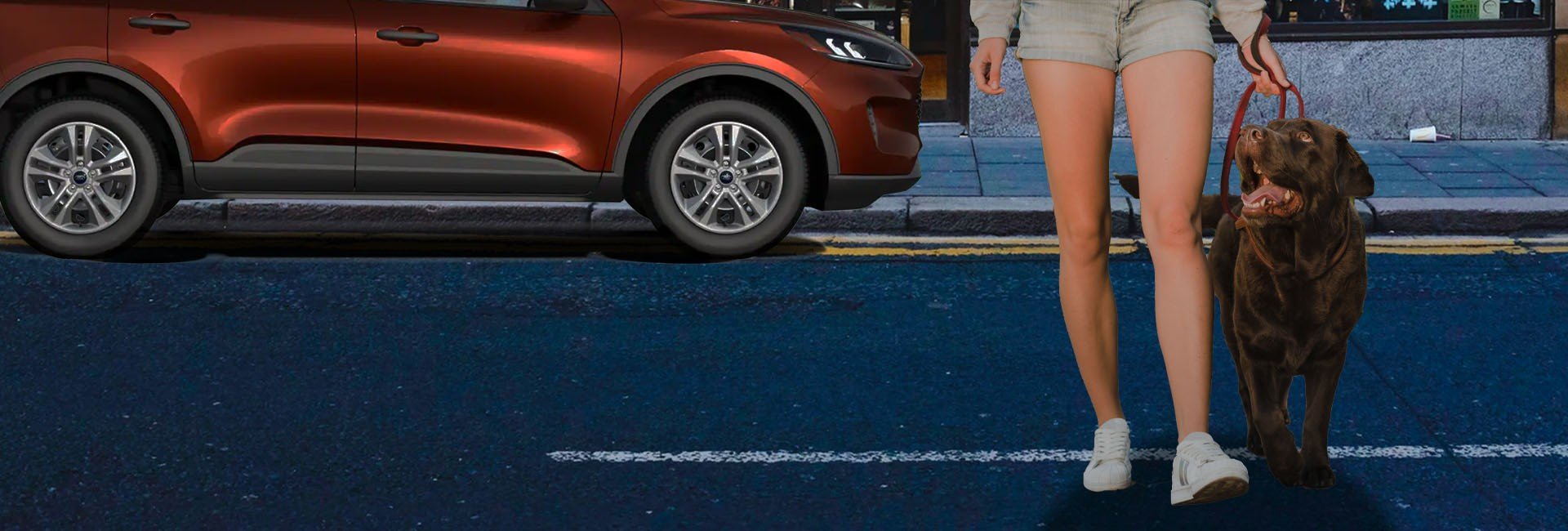 Florida Ford dealers