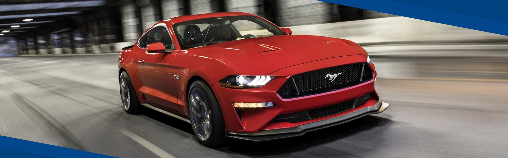 FL Ford dealership