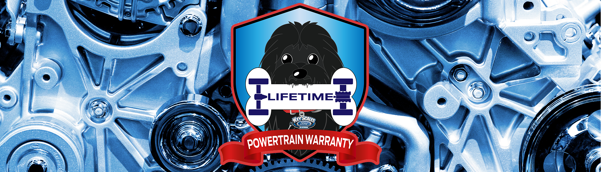 lifetime powertrain warranty