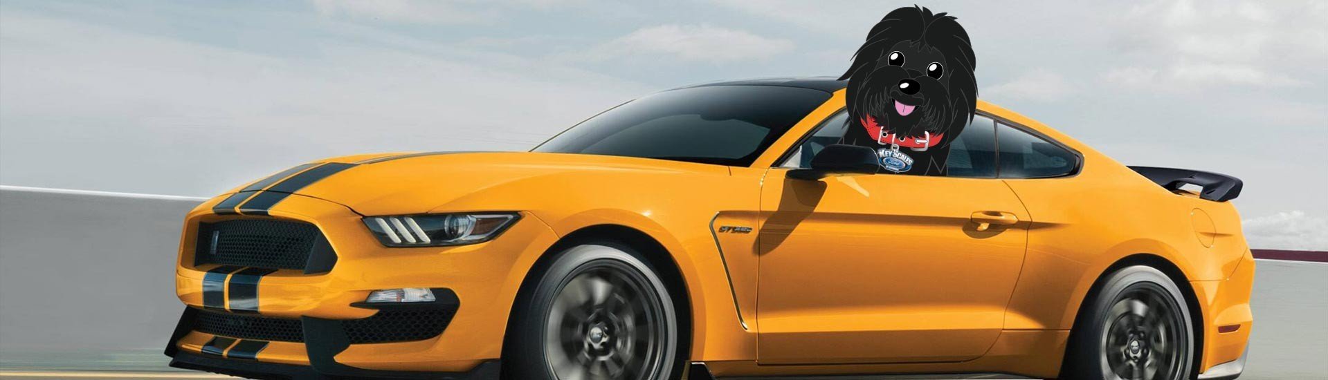 Florida Ford dealer