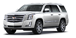 New white Cadillac Escalade in Kansas City MO at Cable Dahmer Cadillac of Kansas City.