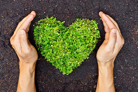 Green heart made of plants symbolizing Toyota's dedication to lowering emissions and protecting the environment.