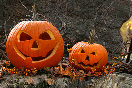 Halloween jack o' lanterns here on Long Island in New York.