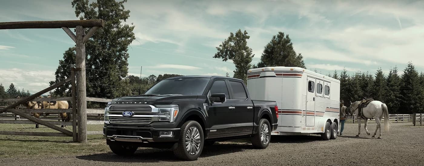 Black 2025 Ford F-150 Platinum towing a horse trailer