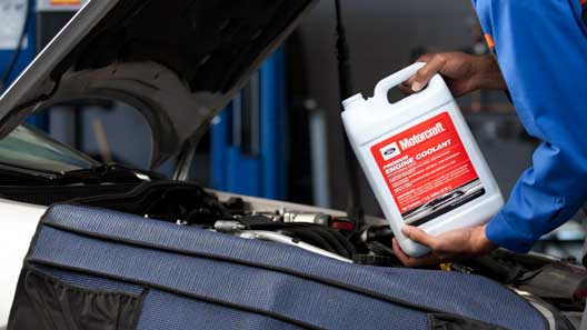 10% Off Motorcraft Coolant limit (6)