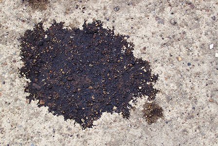 Oil leaking onto the concrete of a driveway on Long Island, NY.