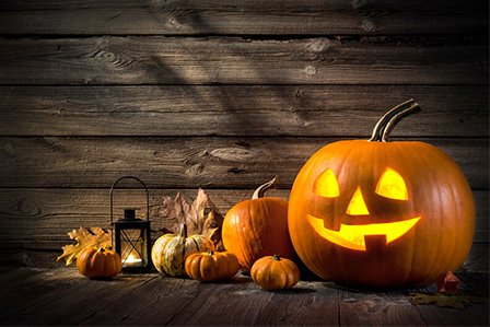 Halloween 2022 Long Island Guide | Westbury Toyota Blog