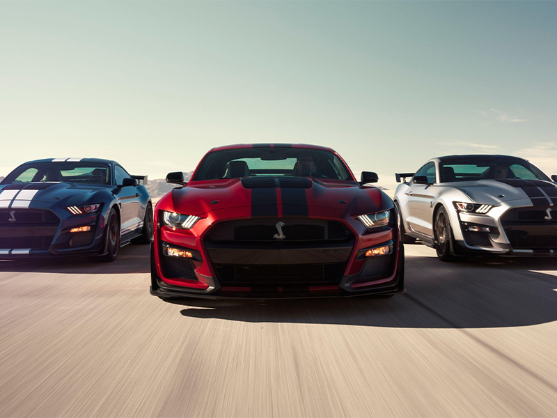 Lets us help you locate that ford vehicle you have always wanted