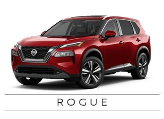 Rogue