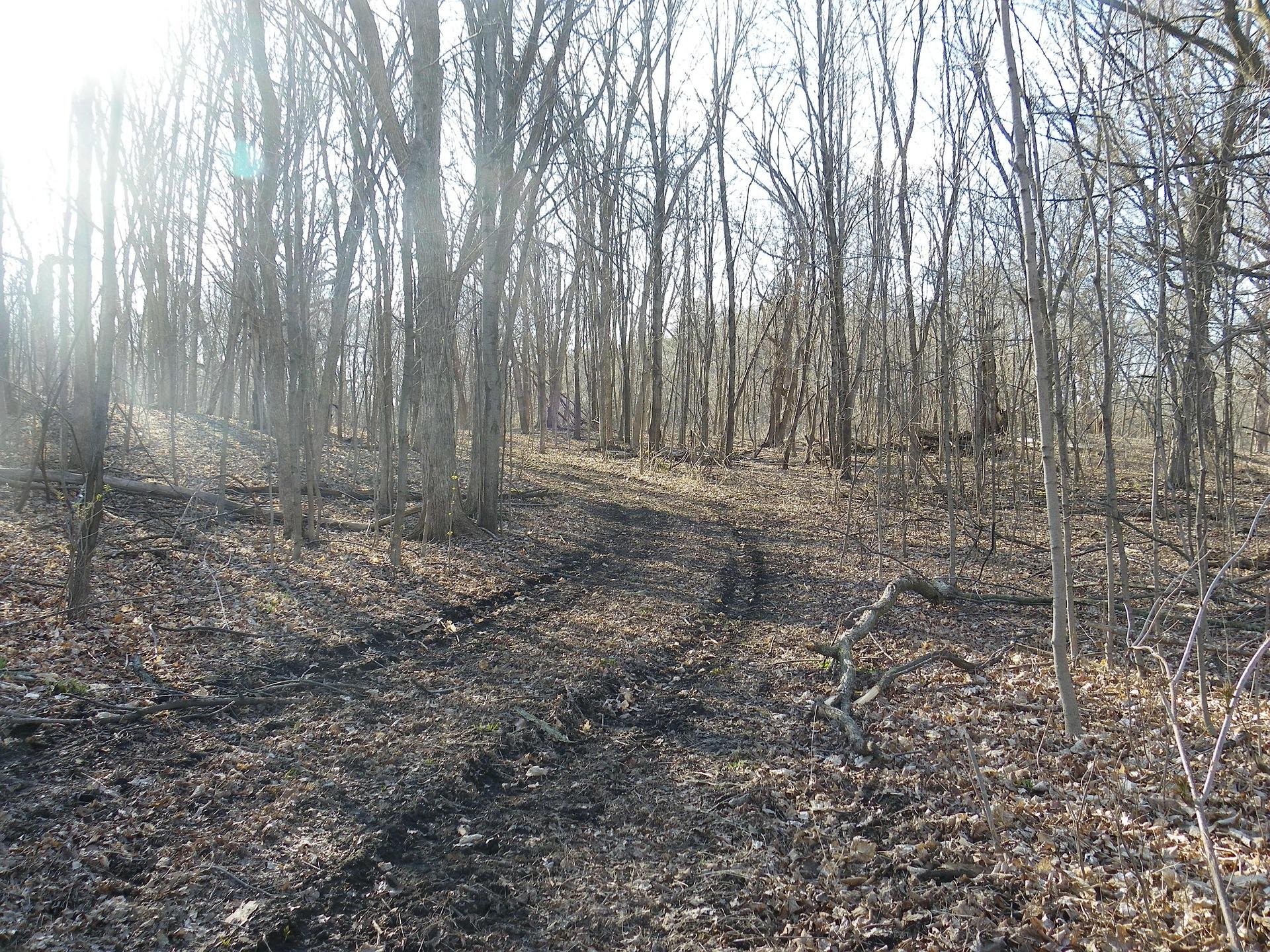 mudding spots in dallas, tx