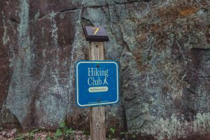 The 3 Best State Parks and Forests Near Pine City